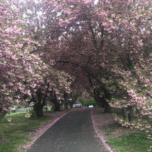 Meet your Posher, Genesis